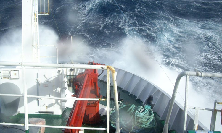 “Remando Juntos para capear el temporal”