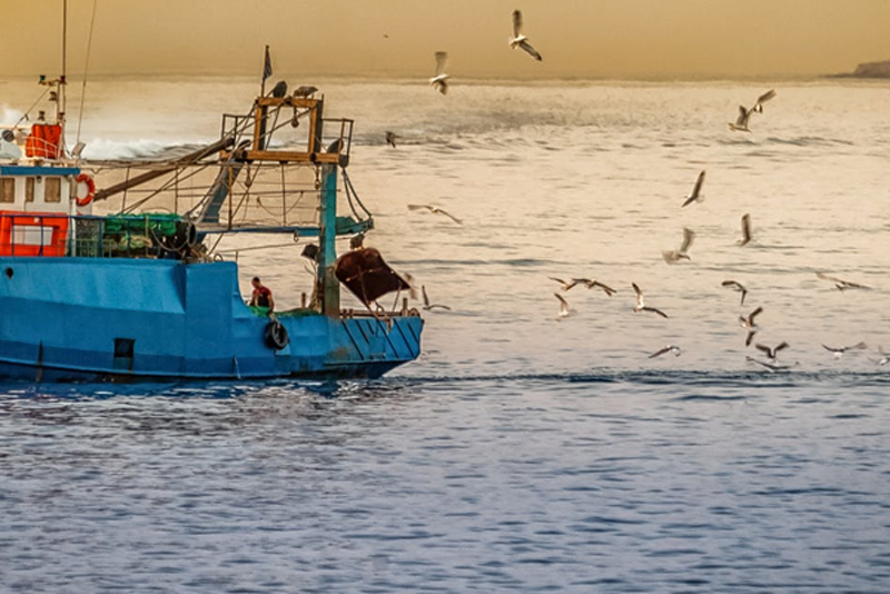 El sector pesquero requiere marineros y mandos